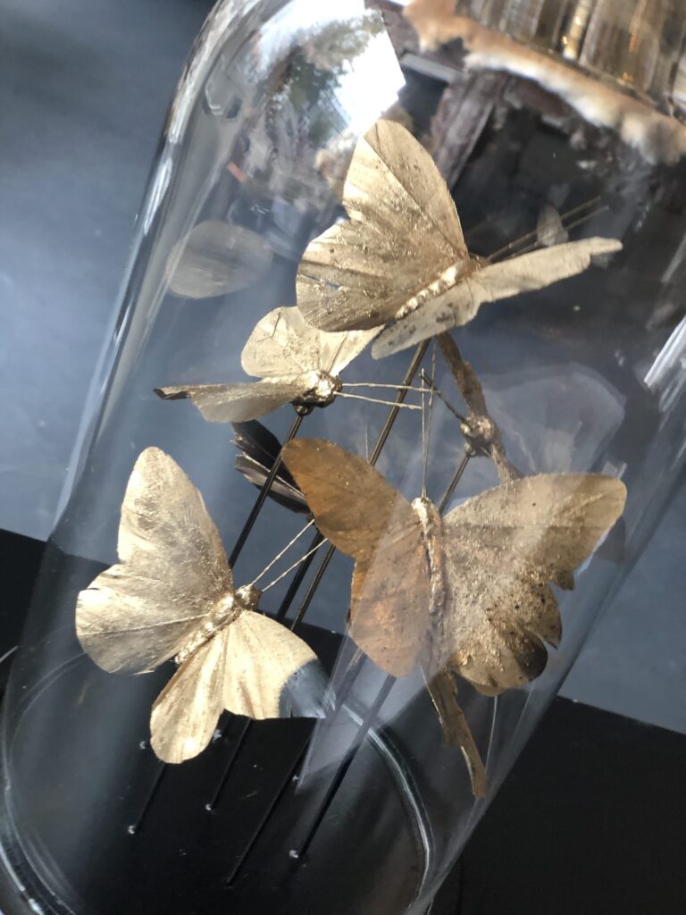 vlinder goud stolp zilver vlinder kuster | Angelas Kroonjuweeltje
